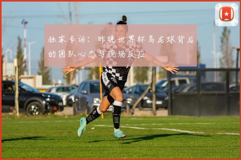 独家专访:昨晚世界杯乌龙球背后的团队心态与现场反应
