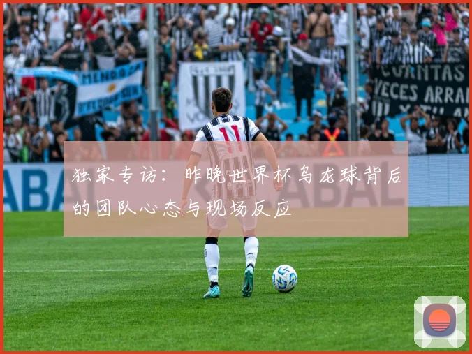 独家专访：昨晚世界杯乌龙球背后的团队心态与现场反应