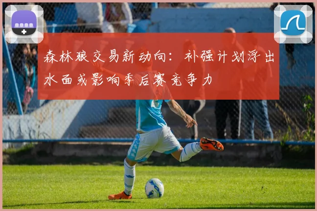 森林狼交易新动向:补强计划浮出水面或影响季后赛竞争力