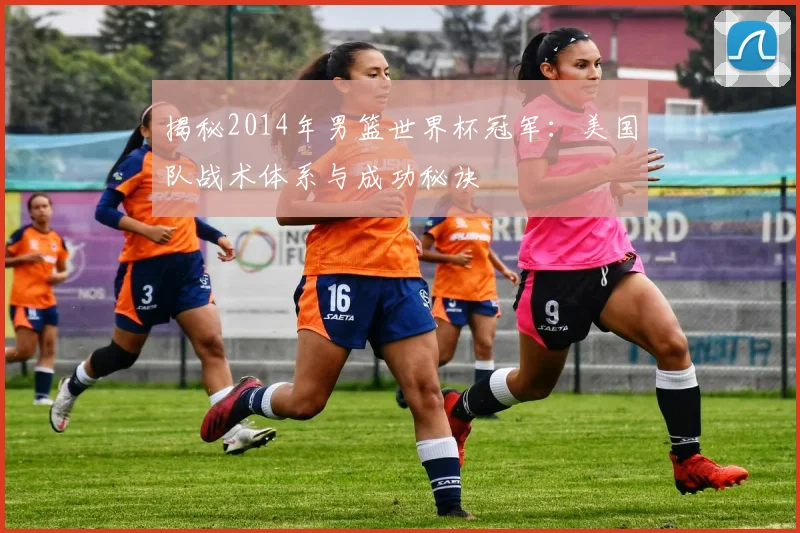 揭秘2014年男篮世界杯冠军：美国队战术体系与成功秘诀